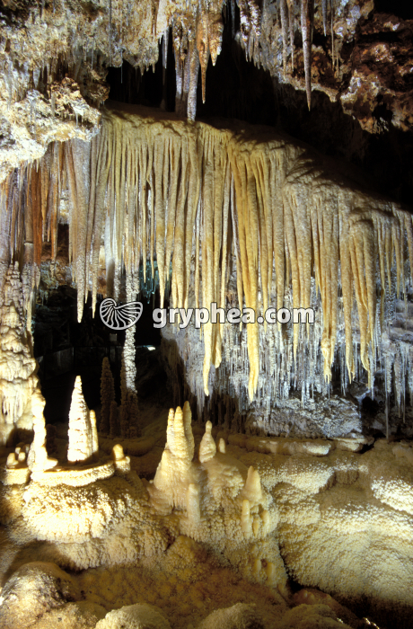 Stalactites et stalagmites (grotte de Clamouse) - gryphea.org